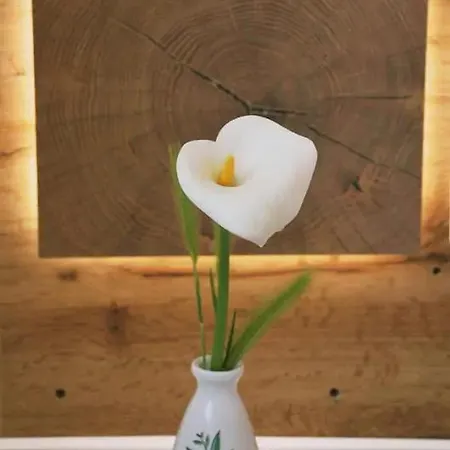 Old Town Popovic * Врсар