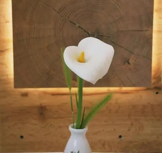 Old Town Popovic * 브르사르