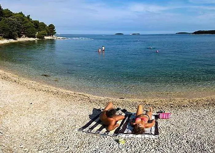 Old Town Popovic 브르사르