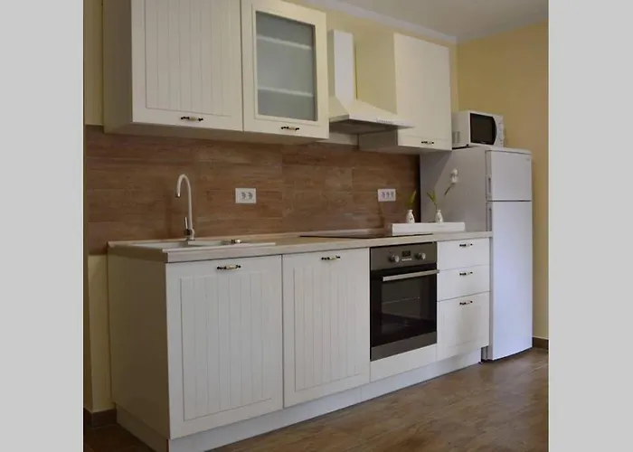 Old Town Popovic 아파트 브르사르