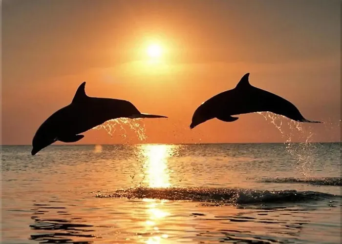 아파트 Old Town Popovic