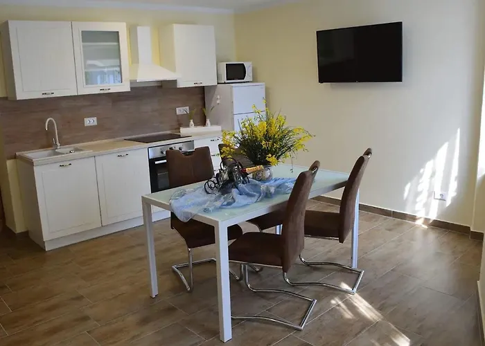 Old Town Popovic 아파트 브르사르