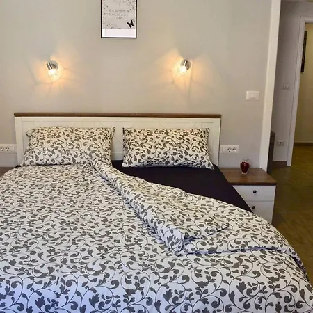Old Town Popovic Apartment *