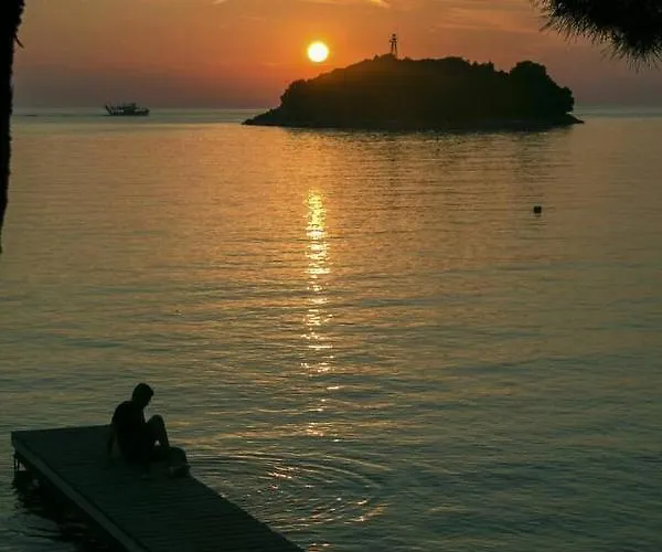 Old Town Popovic Apartment *